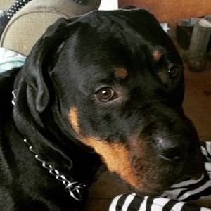 Meet your Posher, Kendrae